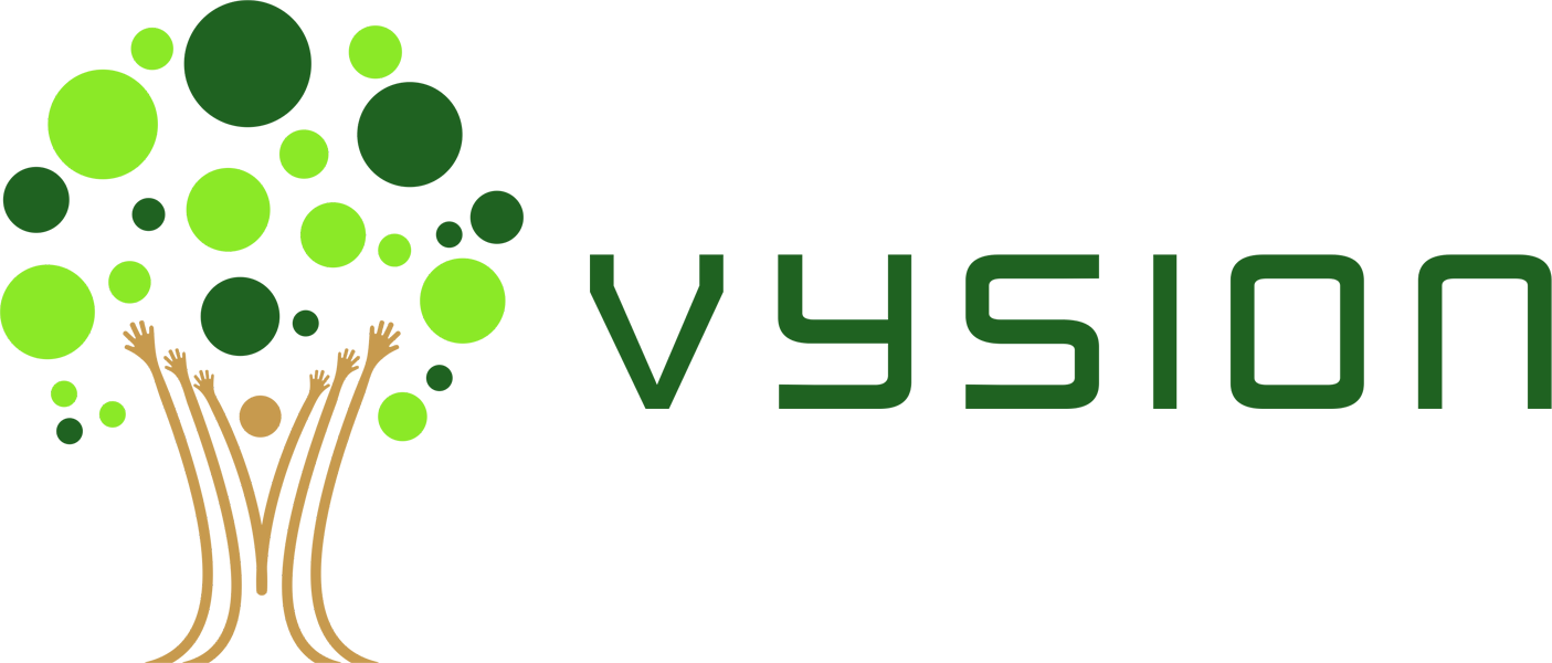 Vysion